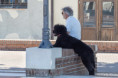 /album/cogli-lattimo/isa-9052342-migliorato-nr-copia-2-jpg/